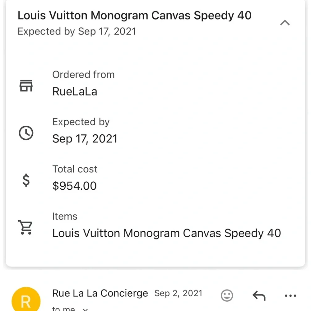 Louis Vuitton classic louis